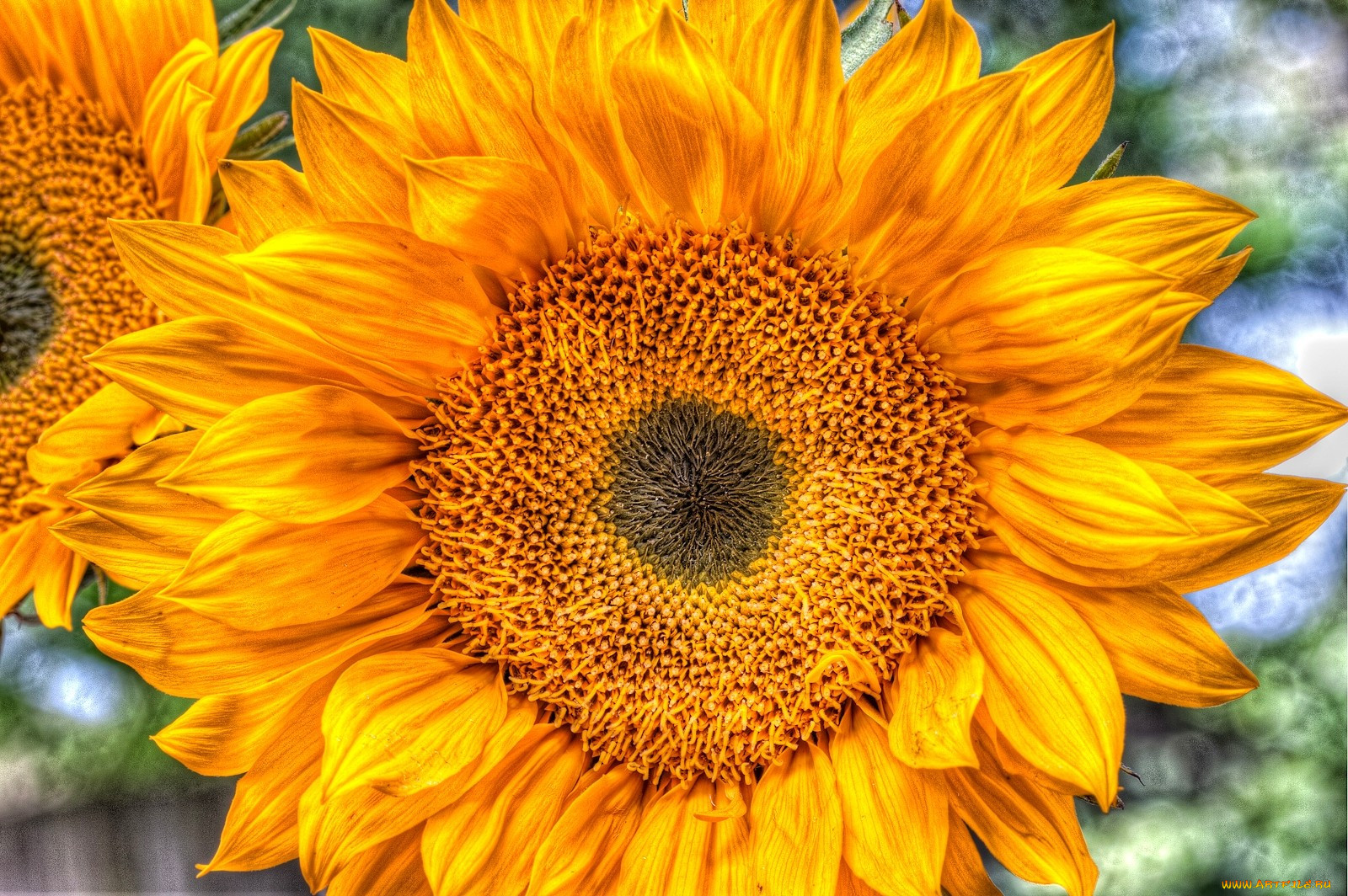 , , , , 